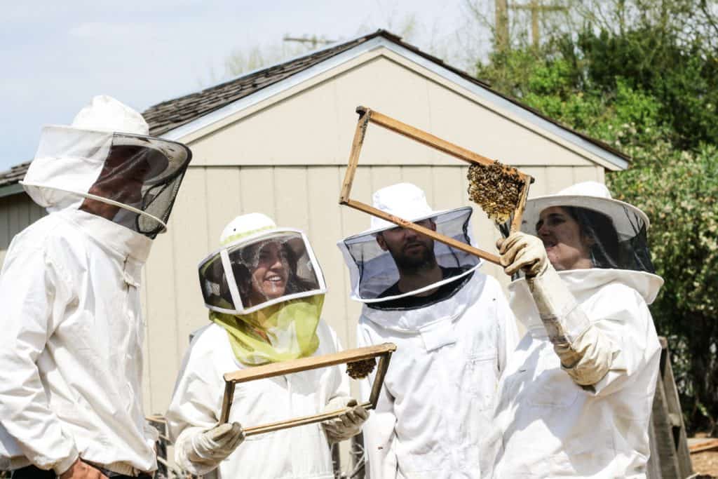 beginner beekeeper clothes