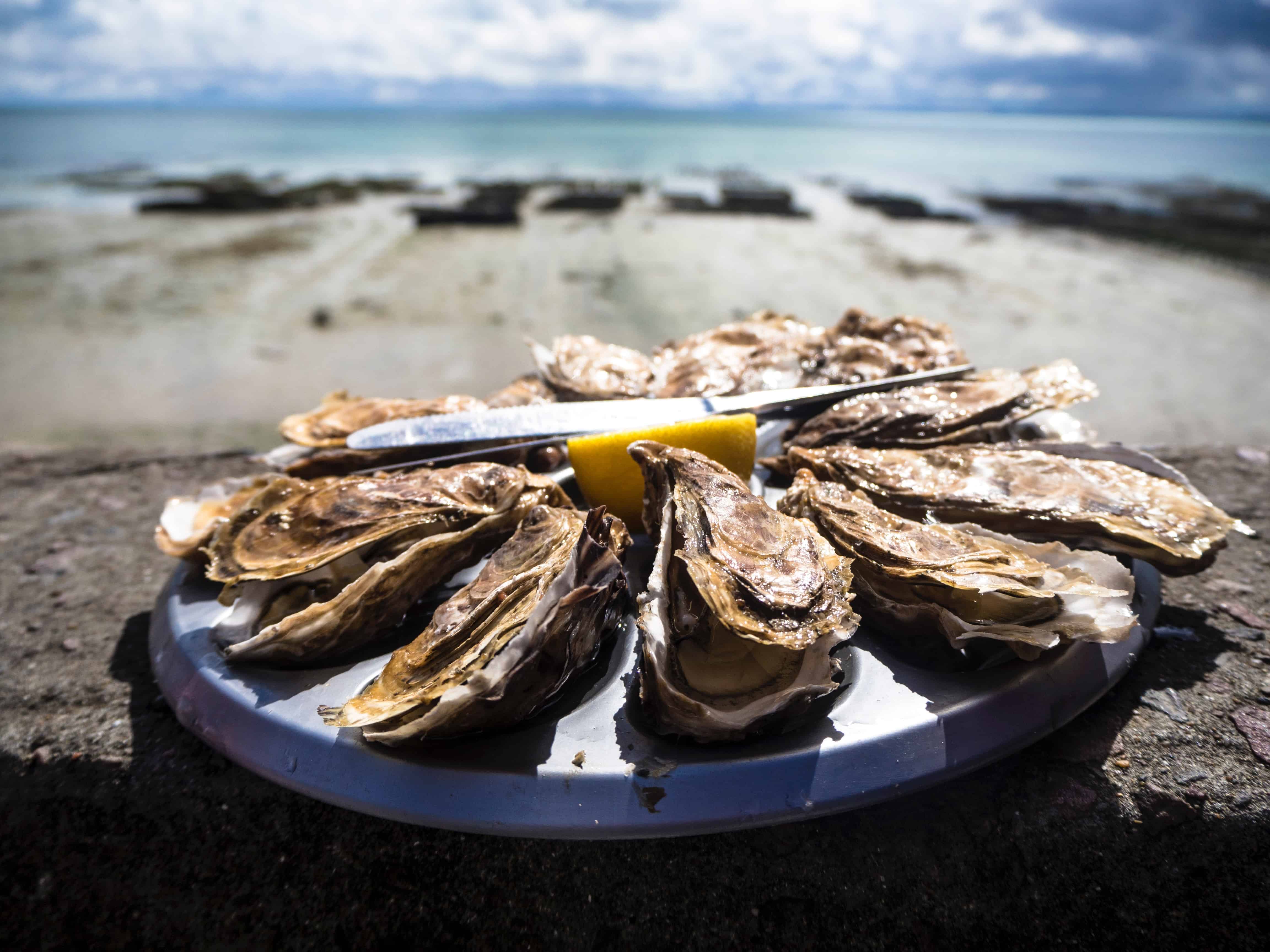 oyster plate by water