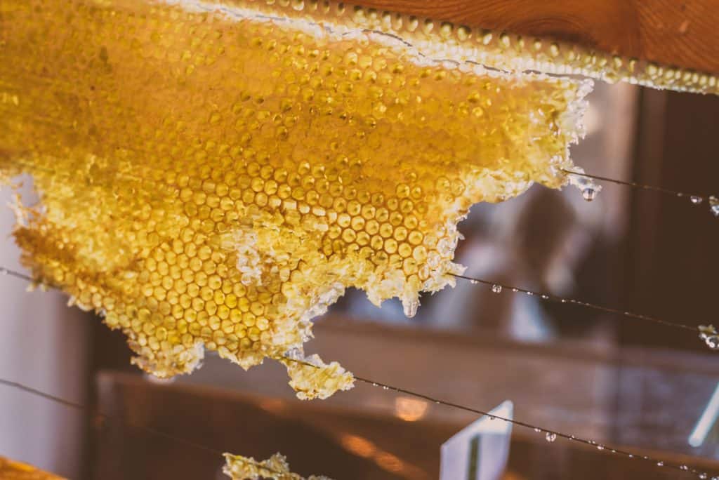 honeycomb is great for Manukahoney