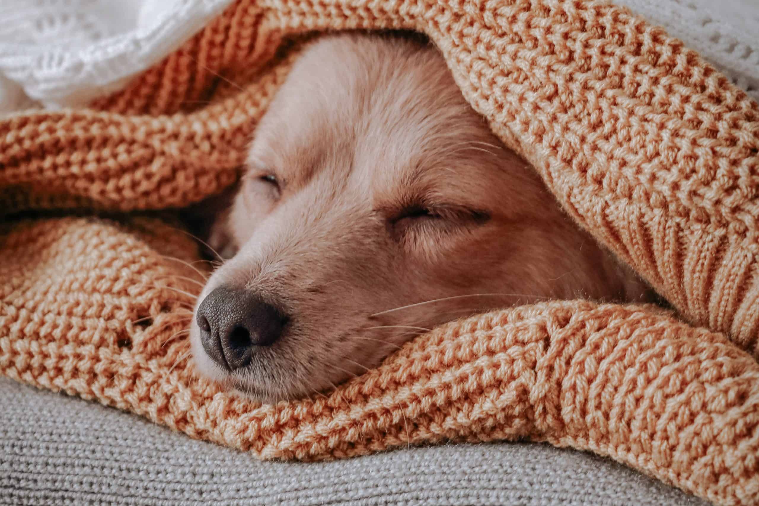 weighted blankets help deep sleep