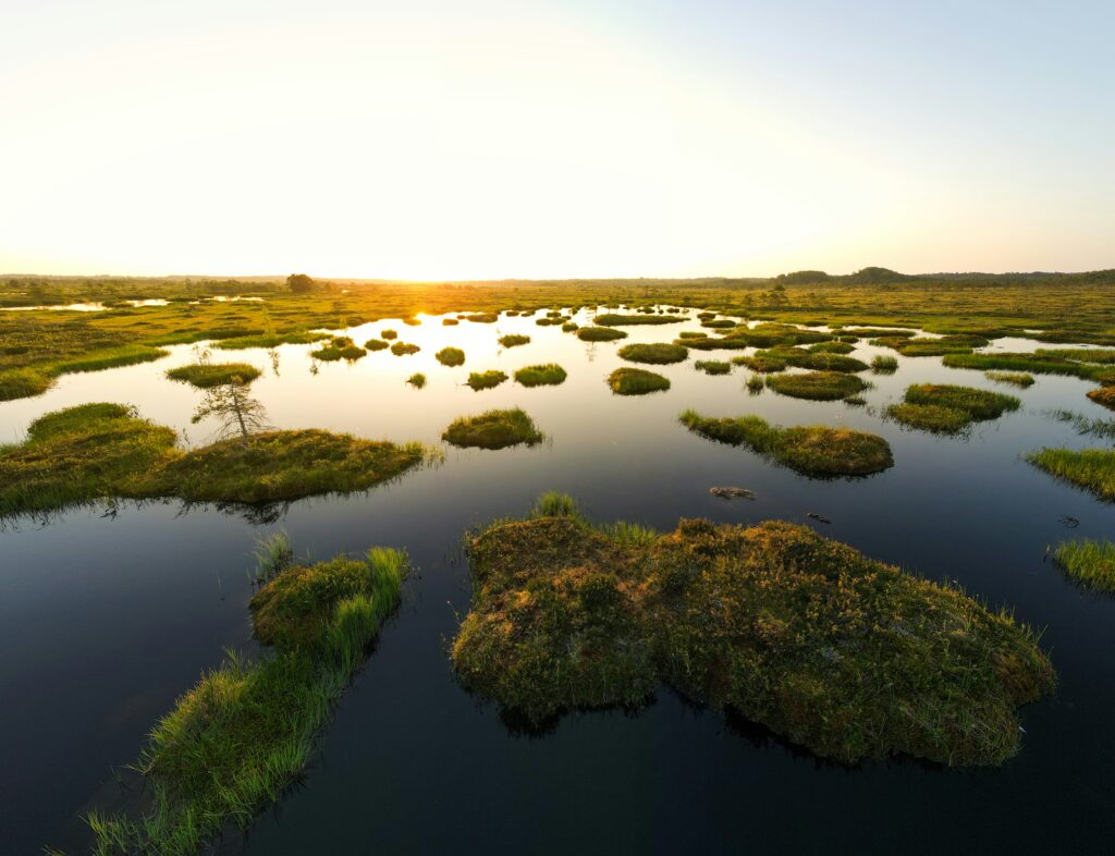 Humic acid can come from bogs