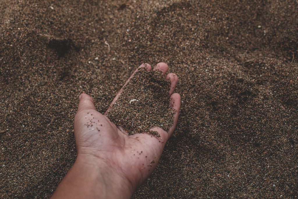 Close-Up Photo of Person Holding dirt full of humic acid