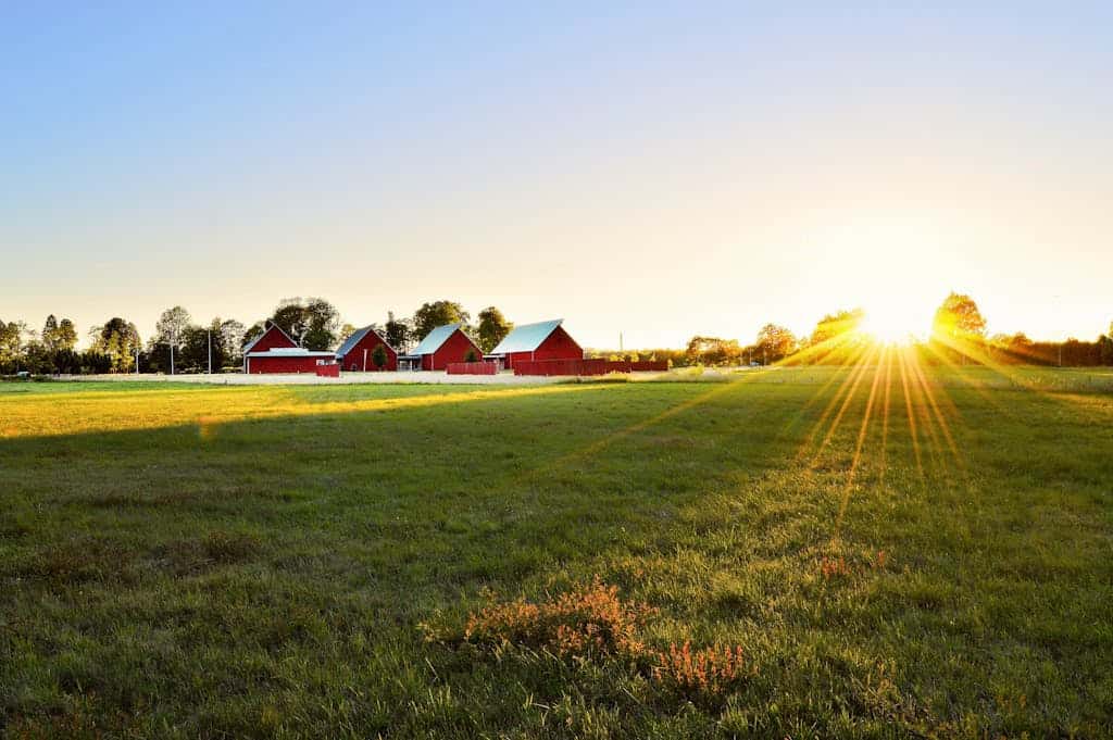 Green Grass Field Near Houses