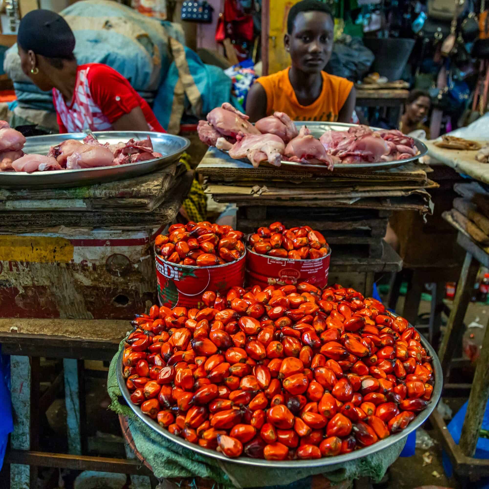 red palm fruit