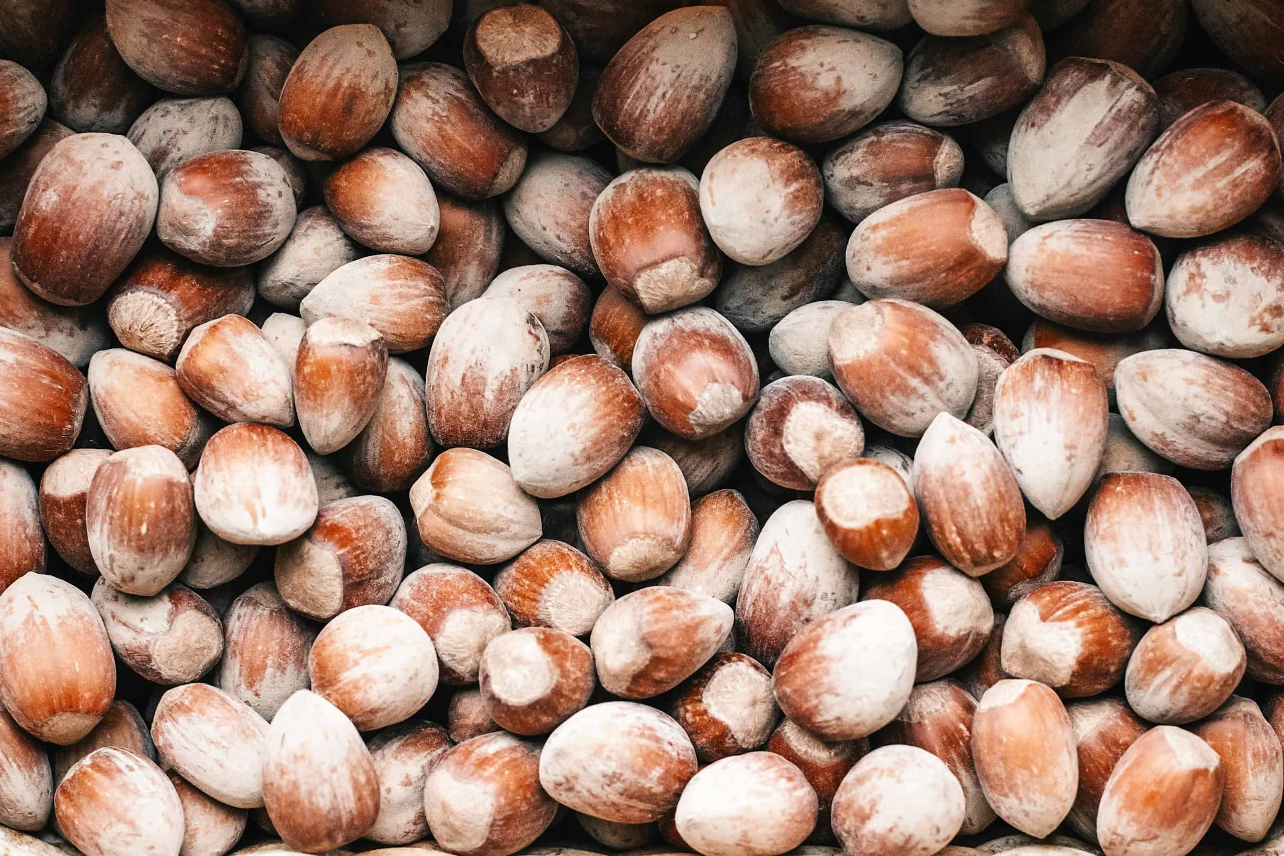 A close-up image of organic raw hazelnuts still in their shells, offering a natural texture and earthy tones.