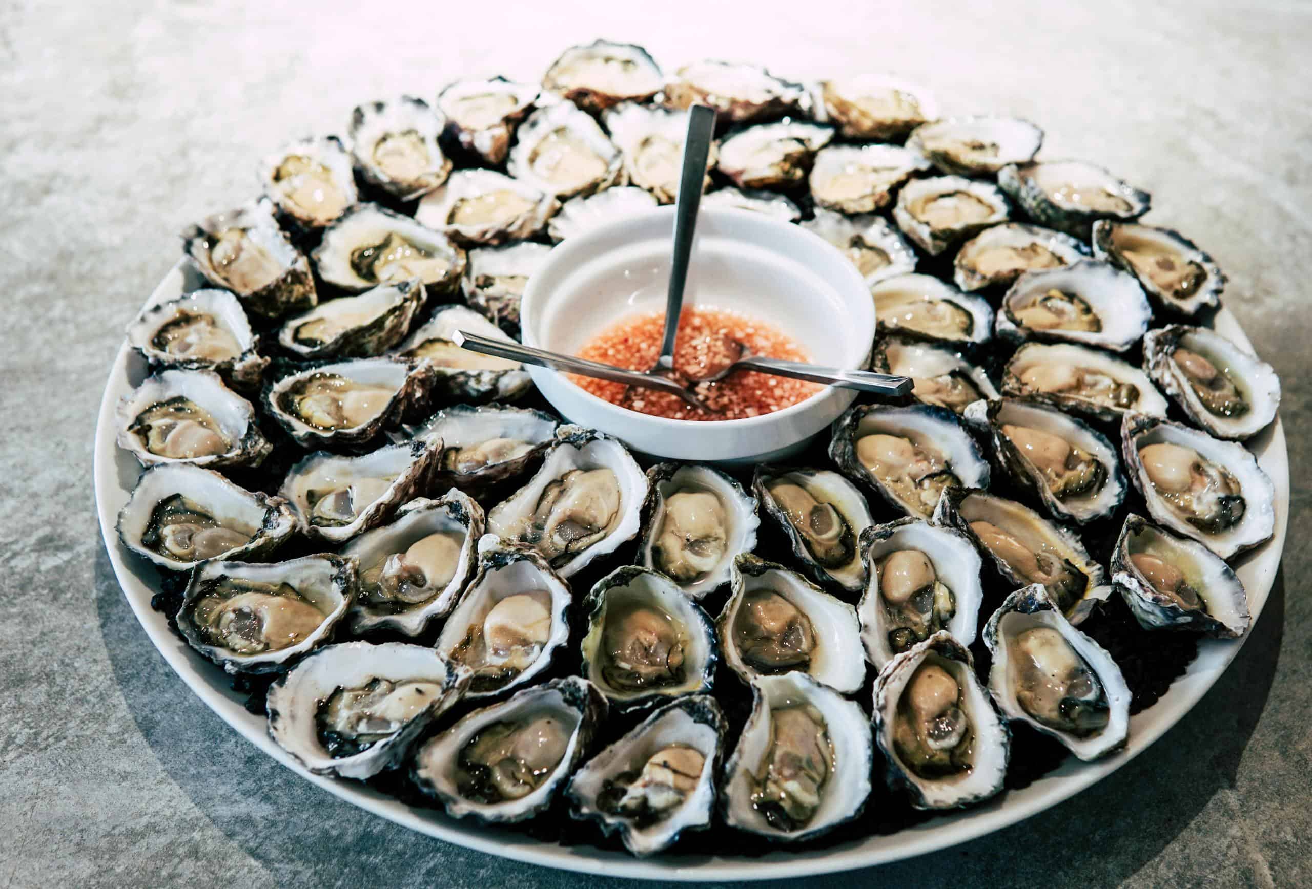 A stunning platter of fresh oysters with a tangy sauce, perfect for gourmet seafood enthusiasts.