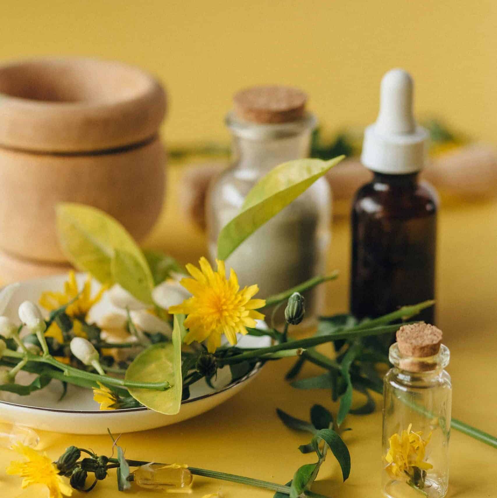 Dried herbs and essential oils on a yellow background, perfect for natural health concepts for making soursop bitters